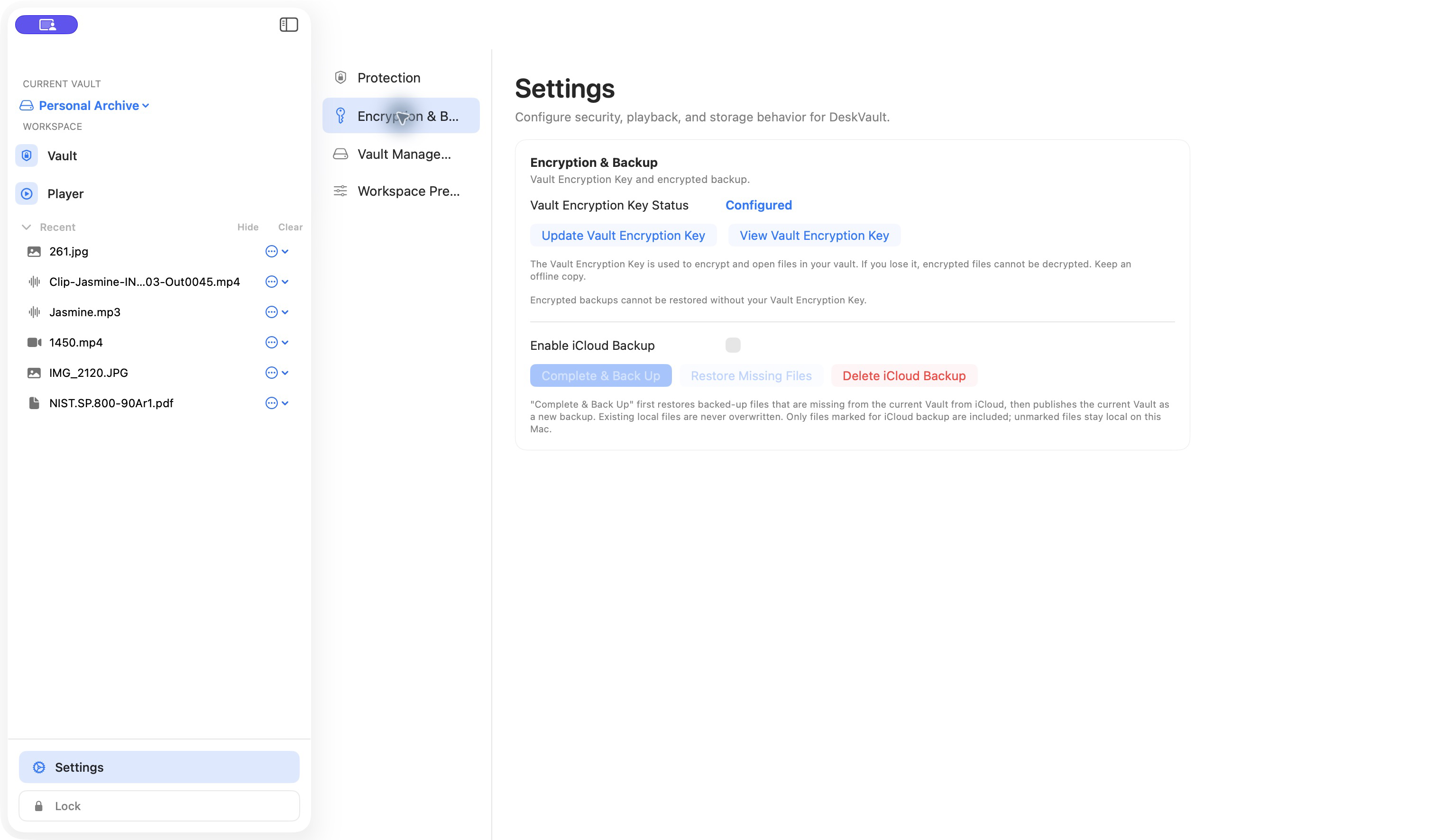 DeskVault Encryption and Backup settings with a configured Vault encryption key and selective iCloud backup controls